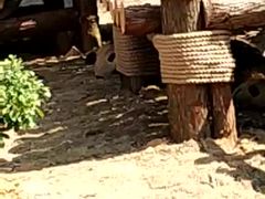 -泉州海丝野生动物世界