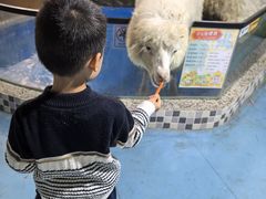 -上海大自然野生昆虫馆(东方明珠·爬宠昆虫探索中心)