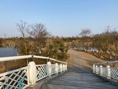-上海长兴岛郊野公园