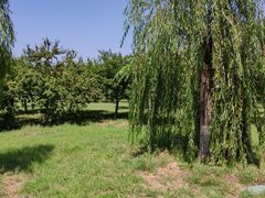 -永定河休闲森林公园