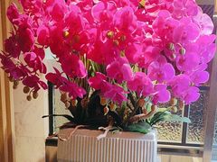 -海底捞火锅(大唐店)
