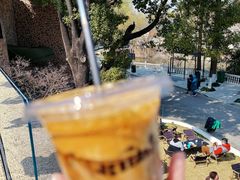 -J Create城市露营咖啡·简餐·宠物(上海动物园店)