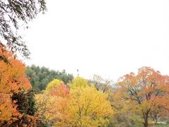 -塔川景区