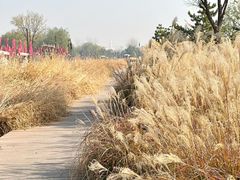 -汉长安城未央宫国家考古遗址公园