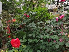 -雾漫川城重庆火锅(上和商业广场店)