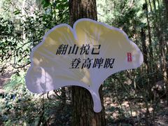 -大慈岩风景区