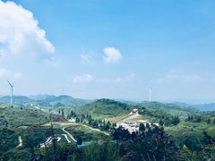 -齐岳山