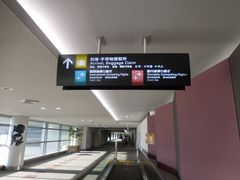 -中部国际机场
