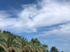 -康莱德酒店·望海阁大堂吧