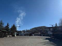 -塔尔寺-菩提树