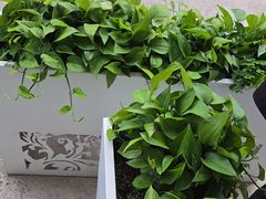 -移动谜城·大笨象密室逃脱(五棵松店)