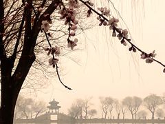 -颐和园