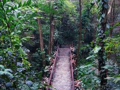 -广州市白云山风景名胜区