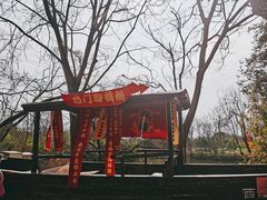 -西溪国家湿地公园