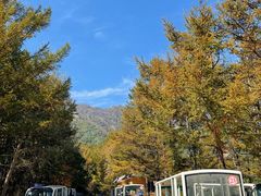 -白草畔自然风景区