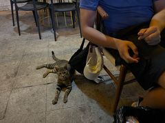 -串世纪烤吧(善见豪山店)