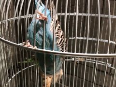 -北京南锣鼓巷亚朵酒店