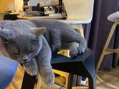 -壹人壹像工作室(购物公园店)