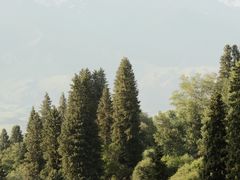 -新疆那拉提国家旅游度假区