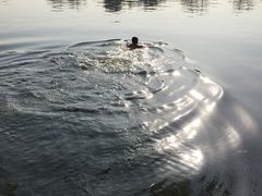 景点-什刹海-后海