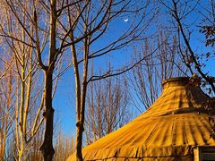 -九十九顶毡房(阜石路店)