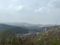 -府君山公园