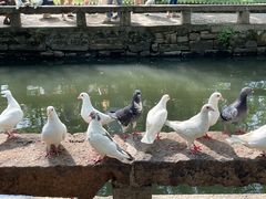 -西园戒幢律寺