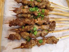 -山野的朋友露营炭火烤肉