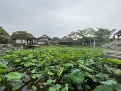 -惠州西湖丰渚园