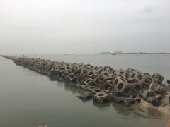 -东疆建设开发纪念公园
