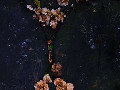 -西双版纳原始森林公园