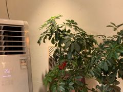 -像素研食The pixlab (皮市街店)