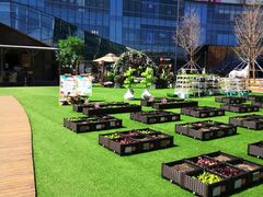 -大族广场Mall&More