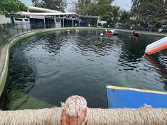 -亚龙湾海底世界