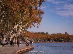 -北山街历史文化街区