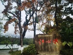 -江心屿景区