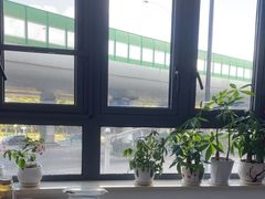 -上海天伦医院
