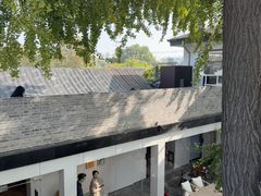 -自如ZSPACE四合院艺术餐厅