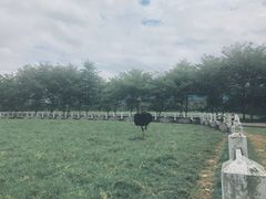 -瑞穗牧场