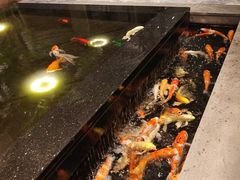 -弘安丽水温泉酒店