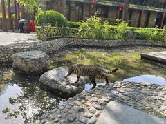 -文瀛公园