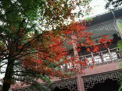 -乌镇东栅景区-茅盾故居