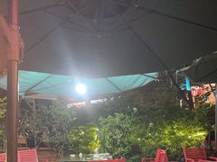 -金塔傣乡·德宏傣味·手抓饭·孔雀宴·云南民族特色菜(文化巷店)