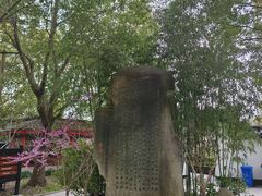 -南汇桃花村