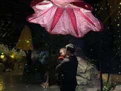-顺德南宏海立方海洋公园