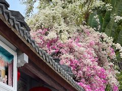 -深圳国际园林花卉博览园