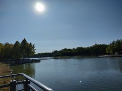 -大兴滨河森林公园