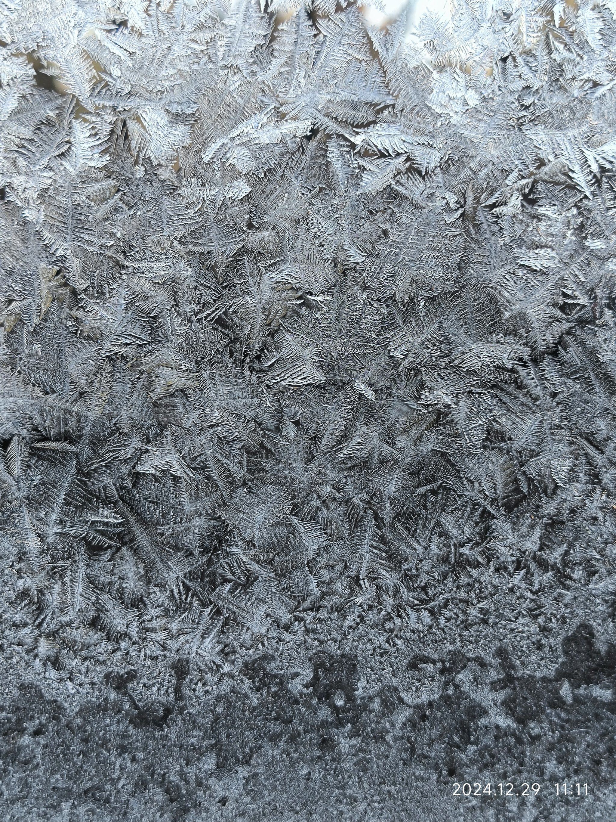 窗玻璃上的冰花