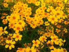 android_upload_pic-广州市石门国家森林公园