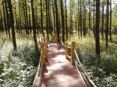 -塞罕坝国家级自然保护区